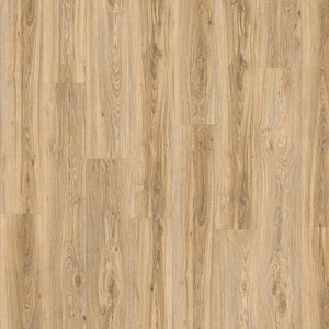 фото Дуб Блэкджек (Blackjack Oak 22220)